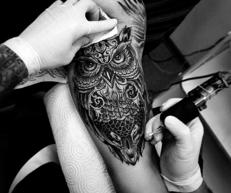 Tattoo De Coruja Feminina Fotos, Imagens E Desenhos 【EM ALTA】
